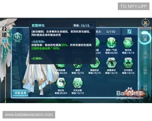 云顶PG电子游戏技术分析，深入剖析游戏机制与胜率提升策略